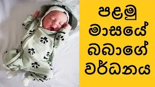 one month baby development | 1 Month Old Baby Growth | පළමු මාසේ දරුවාගේ වර්ධනය | Baby Milestones