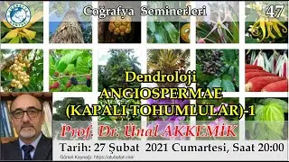 47-Dendroloji-Angiospermae-Kapalı Tohumlular 1 (&Uuml;nal Akkemik)