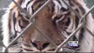 Cedar Hill Animal Sanctuary fundraiser to provide lucky winner chance of lifetime