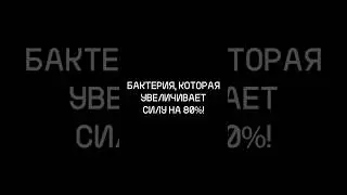 БАКТЕРИЯ, которая УВЕЛИЧИВАЕТ силу на 80%!
