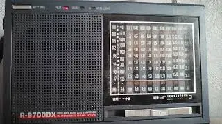 12060 kHz SM Radio Dessau