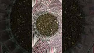 Taj Mahal Rose Ashwagandha Tea Review #review #reaction #tea #chai #Food #eveningsnacks#shorts