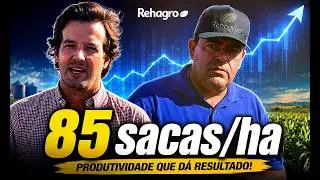 INTEGRA&Ccedil;&Atilde;O LAVOURA PECU&Aacute;RIA (ILP) NA PECU&Aacute;RIA DE CORTE | Rehagro Corte