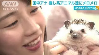 はぁ～疲れた！そんなアナタをこのコたちが癒します(19/03/14)