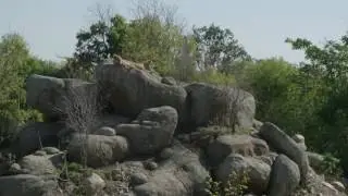 The Skyfari at the Henry Doorly Zoo (4k)