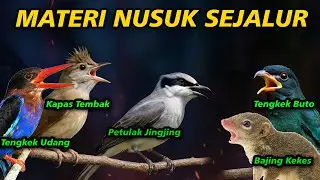 MATERI SEJALUR NUSUK KAPAS TEMBAK TENGKEK BUTO PETULAK JINGJING TENGKEK UDANG BAJING KEKES