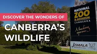 The National Zoo & Aquarium and Jamala: A Rare And Exotic Wildlife Adventure