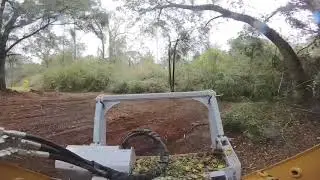 Forestry mulching with Asv rt75 hd and Denis Cimaf 150d