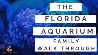 The Florida Aquarium Family Walk Through