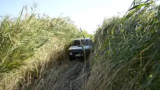 Off-road family niva  Адовые камыши 4х4 off-road
