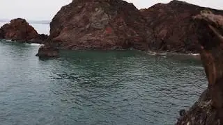 Hope cove