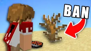 This Minecraft BUSH is ILLEGAL... Here&rsquo;s Why