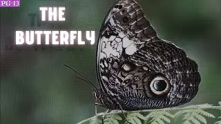A Horror Game About Butterflies