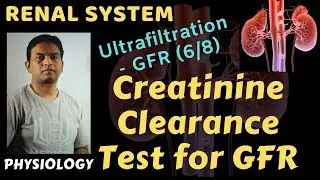 Renal System 20 &ndash; Ultrafiltration &ndash; GFR (6-8) &ndash; Creatinine Clearance Test | Dr. Prashant Sharma