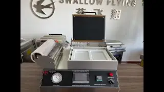 SWALLOW FLYING BRAND VACUUM SKIN PACKING MACHINE USE CASE  (MODEL NO. VSP-350)