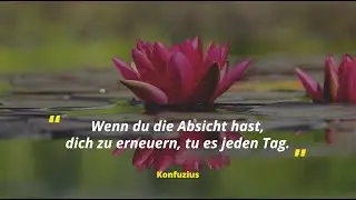 COVID-19 | Fragen & Antworten zur Pandemie von Denkern & Philosophen
