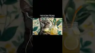 Lagu Cafe Indonesia Lo-Fi Musik🎧🐾 #cat #music #lagumalampagi #bestlagupopindonesia