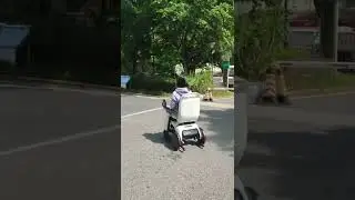 Bask in the sunshine, drive an electric scooter