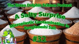 A Salty Surprise: Microplastic Contamination in Bangladeshi Salt