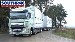 Onroad Transport LTD Buckland Pukekohe