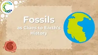 Fossils as Clues to Earth's History