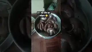 #trendingshorts #real video#27#gatte pooch#ka#tyohar#village life#Uttrakhand#