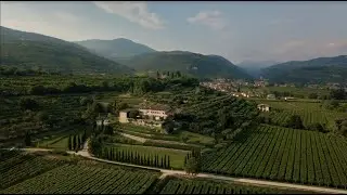 Tenute Ugolini - Vini in Valpolicella