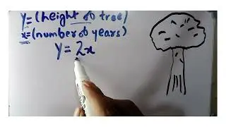 Real life application of algebra with real life example! 🌲 #math