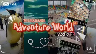 Wakayama Adventure World🐯🐼🦩|ජපානයේ ඩොල්ෆින් Show⭐️🐬|A Day In My Life 🇯🇵🇱🇰|vlog014⛱️