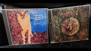 In the Prog Seat: 1992 Album War- Echolyn 'Suffocating the Bloom' vs Anglagard 'Hybris'