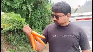 ANAMALAI ka Jungle ka Rasta Kamal ka Rasta tha
