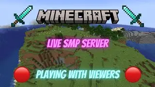 I'm playing a viewer SMP with friends (DDVSMP)