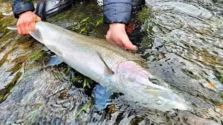 Bank Fishing Steelhead Tips, Tricks, & Techniques