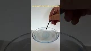 Simple activity on Surface tension #science #scienceexperiment #cbse #class8 #ncert #mrbeast
