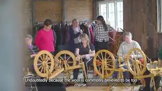 1st European Wool Day | Gammal Norsk Spelsau