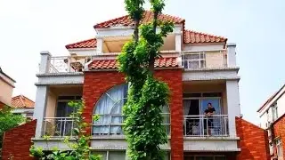 Morning View from My Terrace | YouTube shorts | My House | RIKA & Co #blogger #housevlog #housetour
