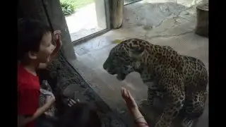 Talk to the Animals Song from Dr. Dolittle