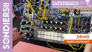 RABID ELEPHANT : Kick, Seq et LPG juste du son ou presque - SUPERBOOTH 2025