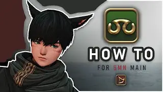 Полное руководство для начинающих по Scholar (издание Summoner)