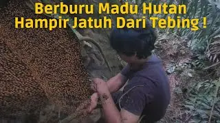 BERBURU MADU HUTAN DI LOKASI BERBAHAYA | JUNGLE HONEY HUNTING IN DANGEROUS LOCATIONS