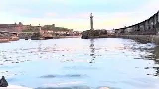 Sailing into Whitby Harbour after watching Minke whales