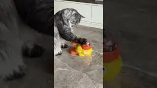 Interactive Dog Toy and Automatic Pet Feeder &ndash; Pet Snack Dispenser and Puzzle Feeder
