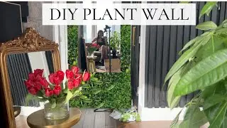 DIY PLANT WALL USING PRESERVED MOSS