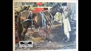 Kentucky Pride (1925)