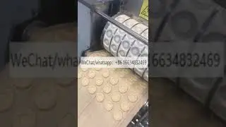 Small Rotary Mould Dog Shortbread Biscuit Make Walnut Cookie Machine De Fabrication De Biscuit Price