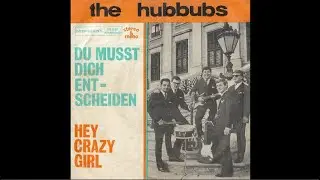 Hubbubs - Hey Crazy Girl