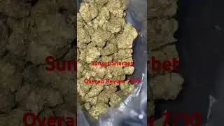 Sunset Sherbet Review