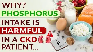 Почему потребление фосфора вредно для пациентов с ХБП