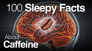 The Most Relaxing Facts About Caffeine to Fall Asleep To