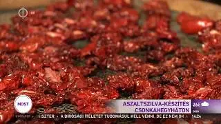 Aszaltszilva-készítés Csonkahegyháton – M1 Ma délután 2017-09-09